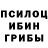 Псилоцибиновые грибы GOLDEN TEACHER 995sean