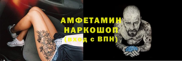 mdpv Каменногорск