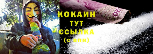 mdpv Каменногорск