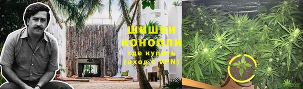 mdpv Каменногорск