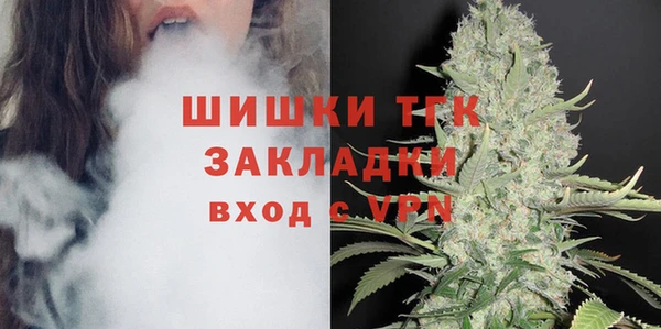 mdpv Каменногорск