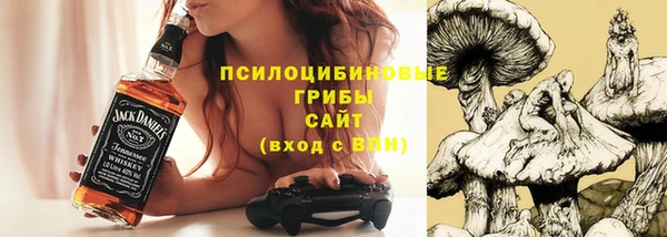 кокаин Каменка